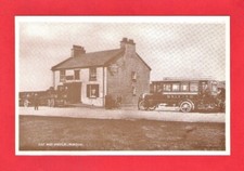 Reproduction Postcard - Cat