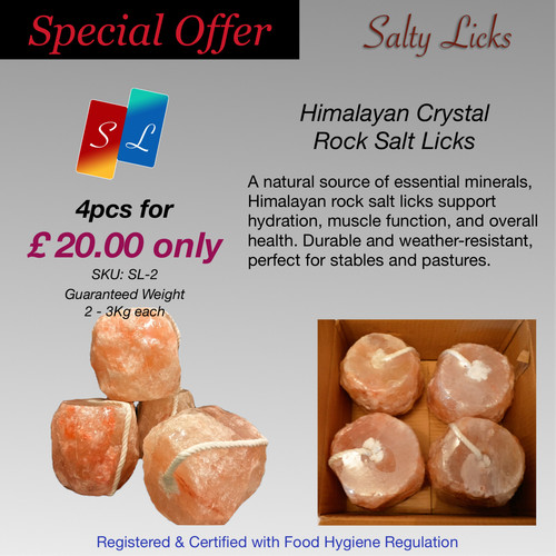 Salty licks for - salty, horses/cattle