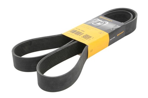 Ribbed belt fits lion - ribbed,