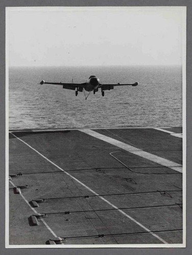 Havilland sea venom - havilland,