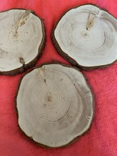 Pine Wood Slices For