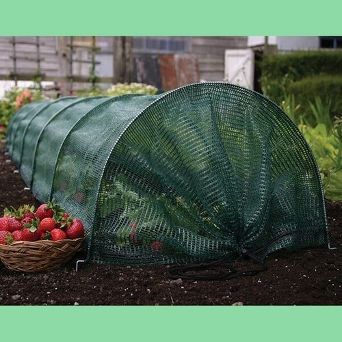 Easy net grow - net,