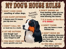 My dog's house rules Bernese