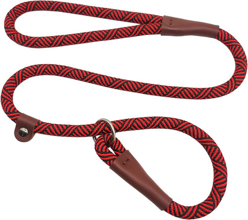 Slip lead dog leash - lead,