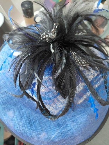 Blue feather and mesh - and,