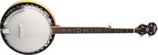 Washburn B9 5-string Resonator