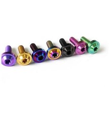 M6 Titanium Bolt Low Profile