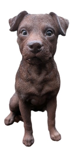 Vivid arts patterdale terrier - vivid,