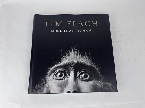 More than human - than, flach