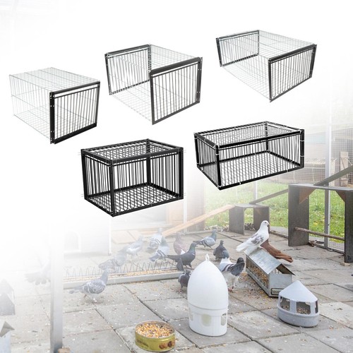 Pigeon cage chicken for - chicken,