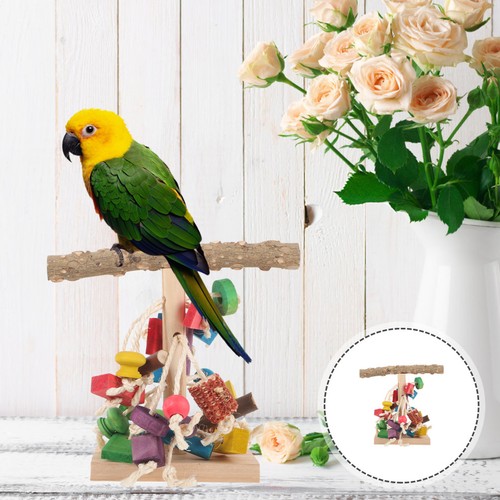 Parakeet perch stand cockatiel - parakeet,