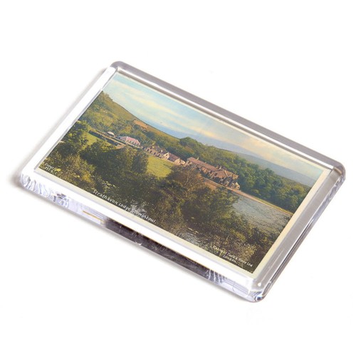 Fridge magnet vintage - fridge,