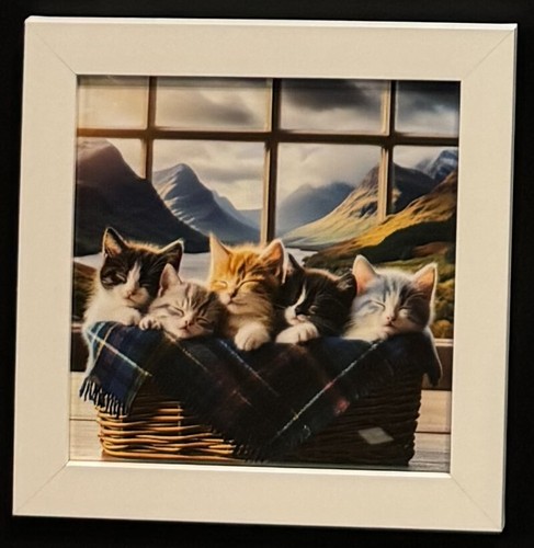 White framed pictures - , of