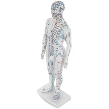 Human Acupuncture Model Body