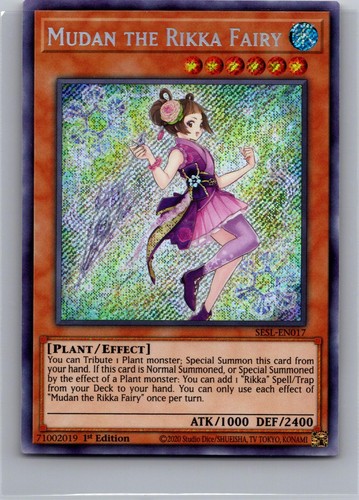 Mudan the rikka - mudan,