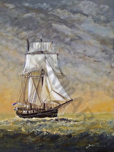 87776 van hove - 87776,
