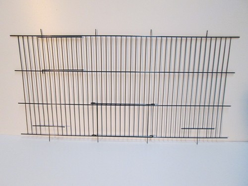 Pennine bird cage - bird, wire