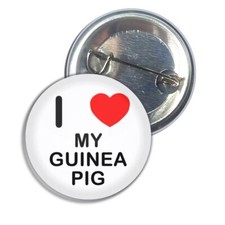 My Guinea Pig I Love Heart