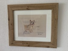 Norwich Terrier print by Gill