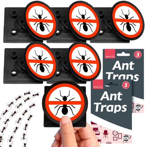 12pk ant trap - ant, stop