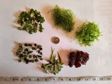Rare exotic nano aquarium - 'nano',
