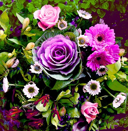 Ornamental cabbage flower