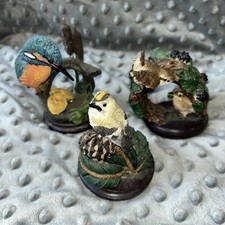 3 X Polskie Ptaki Bird Collection  Bundle By Andy Pearce