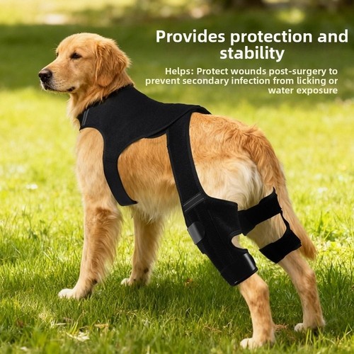 Dog knee brace for acl - brace, &
