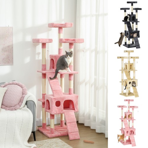 Cat tree kitty activity - cat,