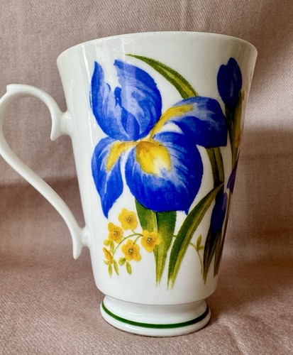 Camelot mug roy - mug,