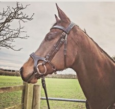 Anatomical Show Stitched