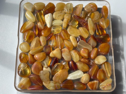 30gr polished baltic - polished,