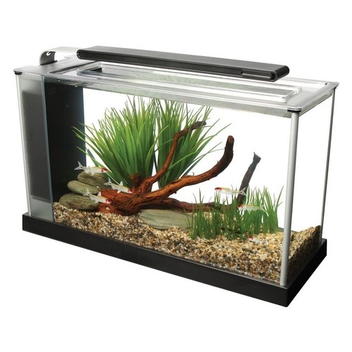 Fluval spec 19l nano - nano, aquarium