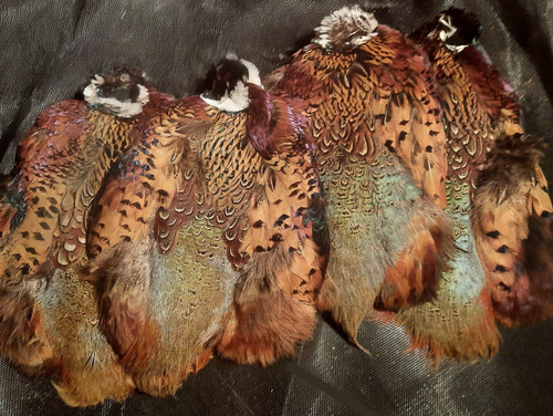 Good lot hareline ringneck - good,