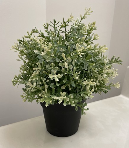 Ikea decorative plant green - decorative,