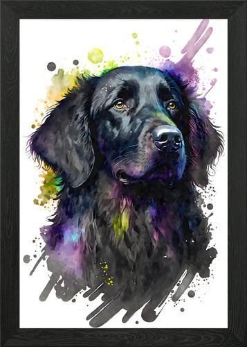 Flat coated retriever framed - flat,