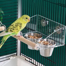 Acrylic parrot feeder cage - parrot,