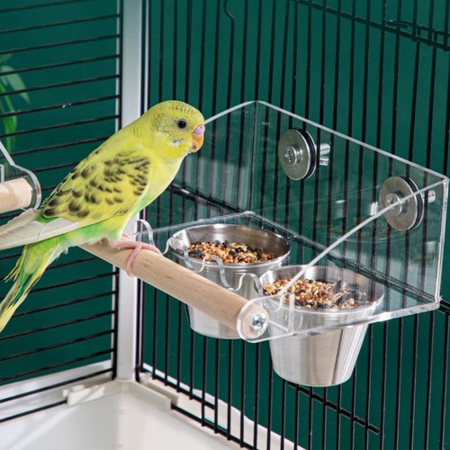 Acrylic parrot feeder - acrylic,
