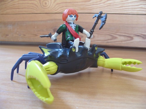 Playmobil 100 complete set - 100%,