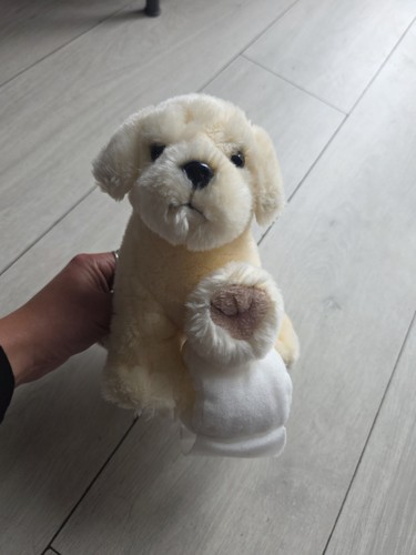 Andrex puppy dog - puppy, toilet
