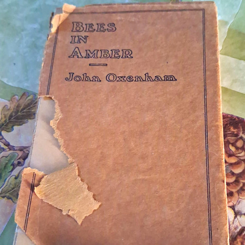 John oxenham bees - oxenham, amber