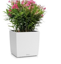 LECHUZA CUBE Cottage 30 White