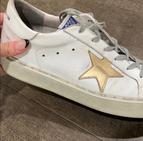 Golden goose star - goose, hi
