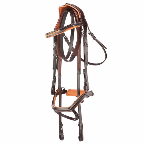 Anatomical crank flash - anatomical,