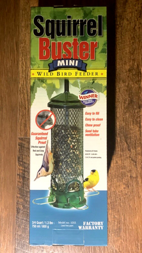 Squirrel buster mini wild - buster, bird