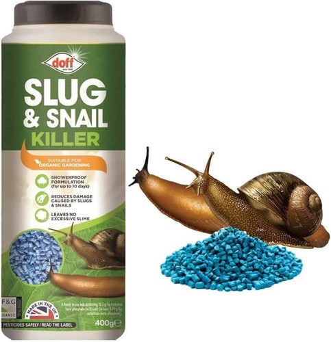 Doff slug and snail - slug,