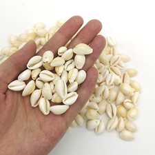 50x Lot Small Bulk Cut Sea