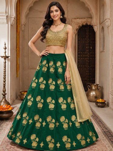Party pakistani lehenga - pakistani, choli