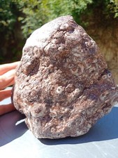 3.1kg Red Fossil Rock crystal