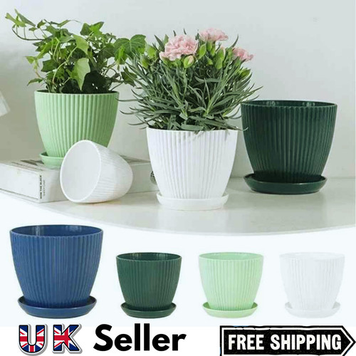 Plant pots flower planter - plant,